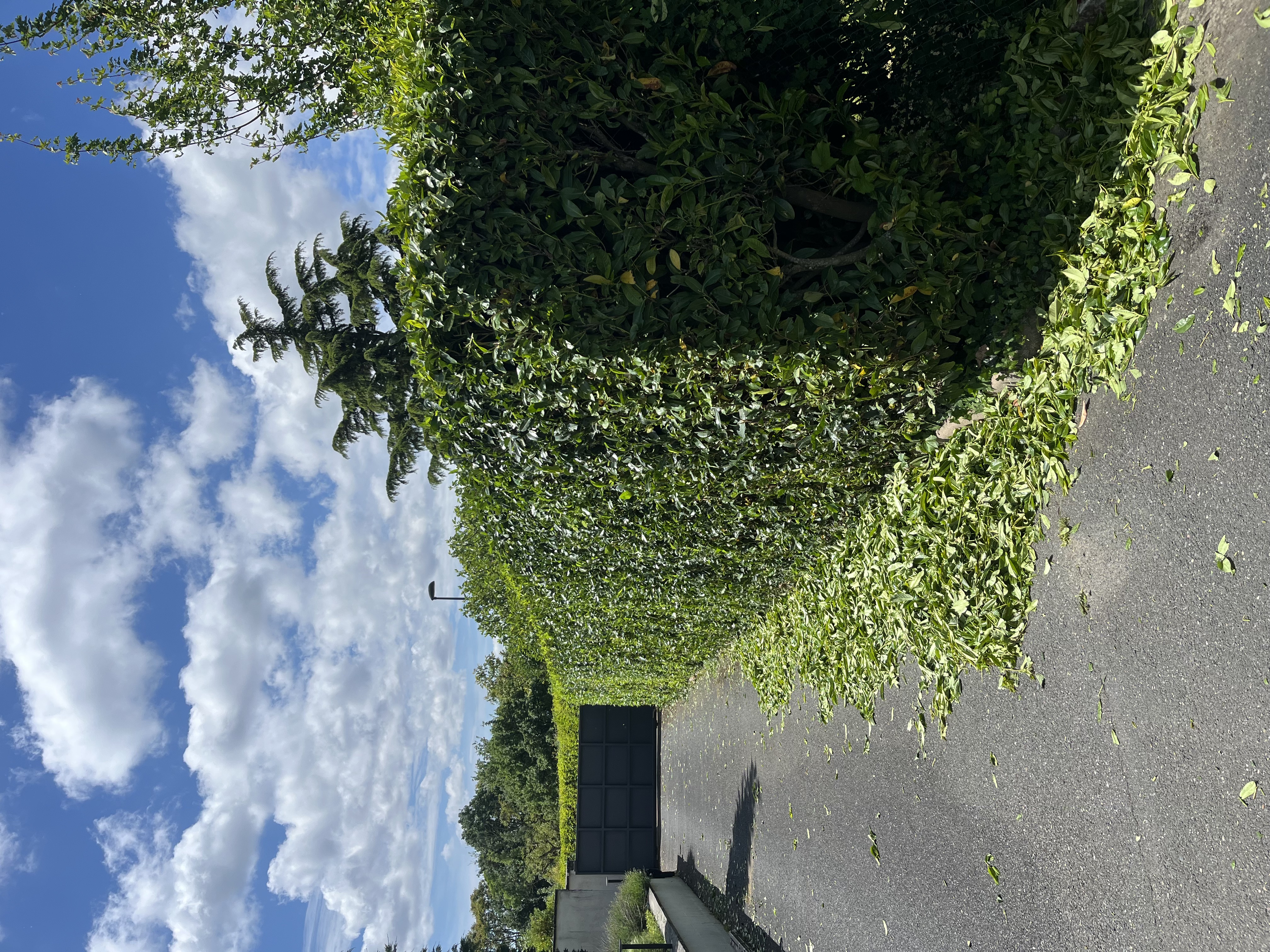 Location autre 01 entre particuliers