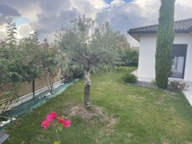 Service jardinage