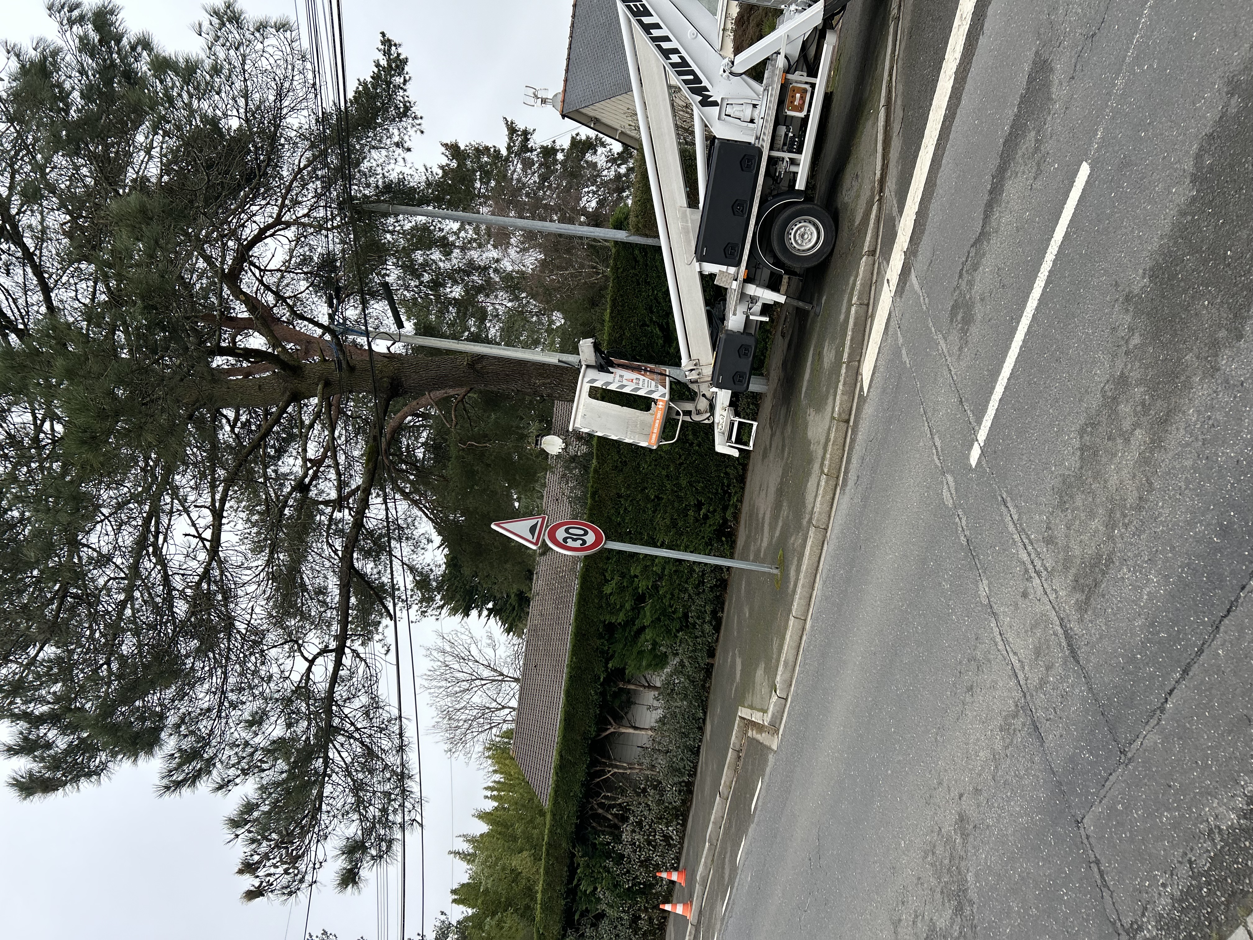 Service elagage 44 entre particuliers