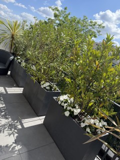Service : entretien jardin Service : entretien jardin