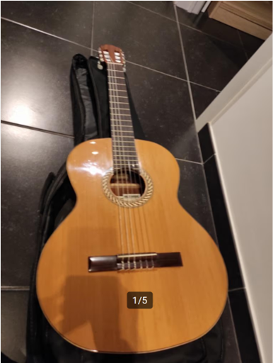 Location guitare 59 entre particuliers