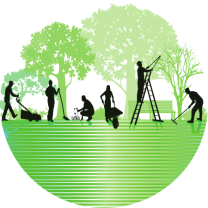Service : entretien espace vert Service : entretien espace vert