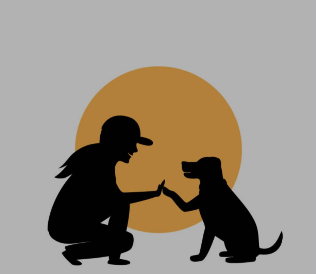 Service Garde lapin between individuals (38)