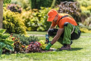 Service renovation interieure