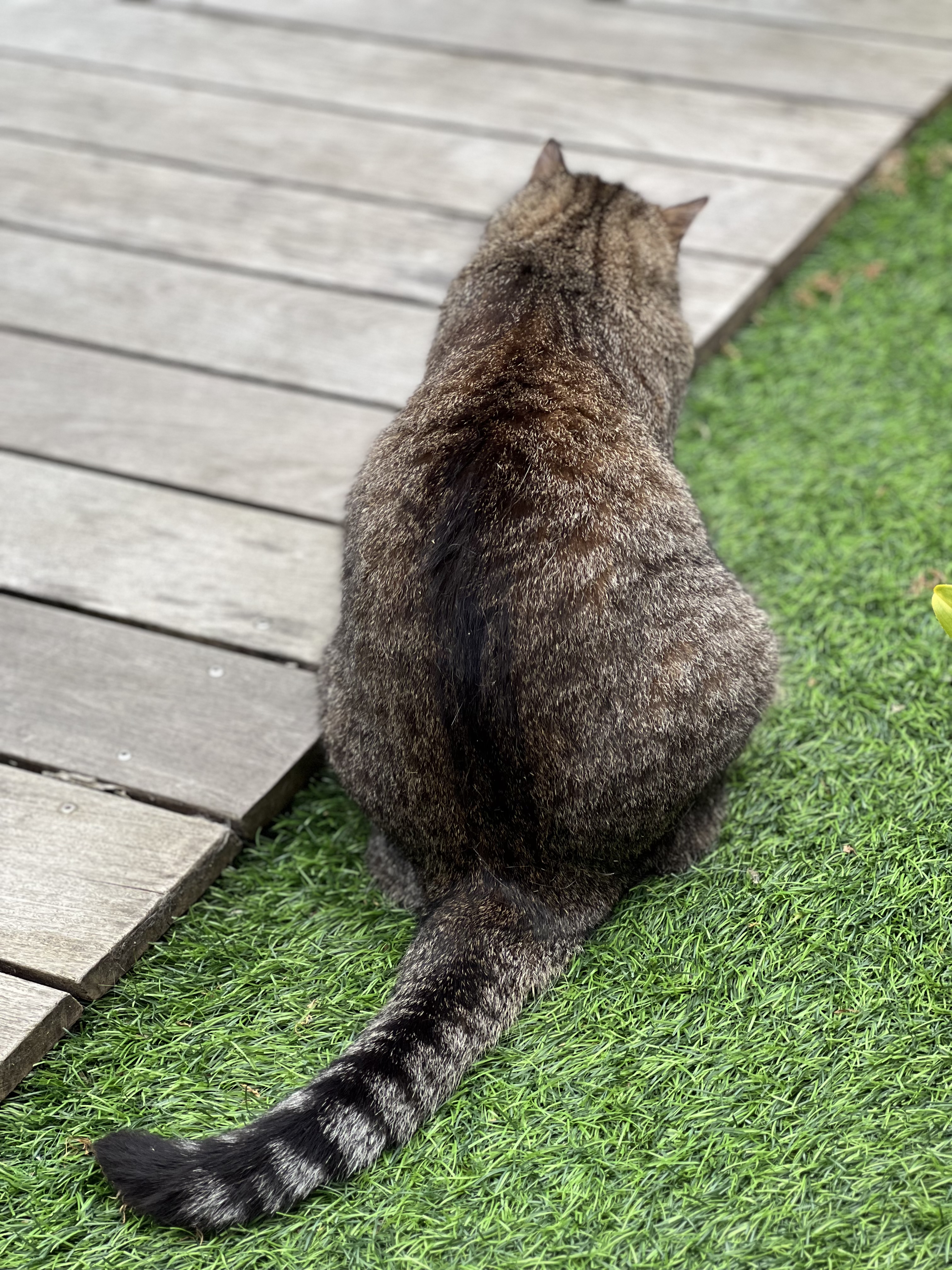 Service chat 56 entre particuliers