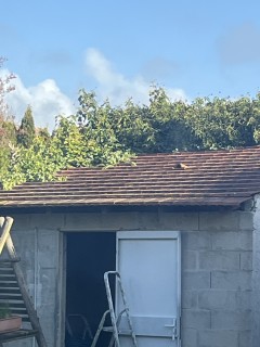 Service : entretien jardin Service : entretien jardin