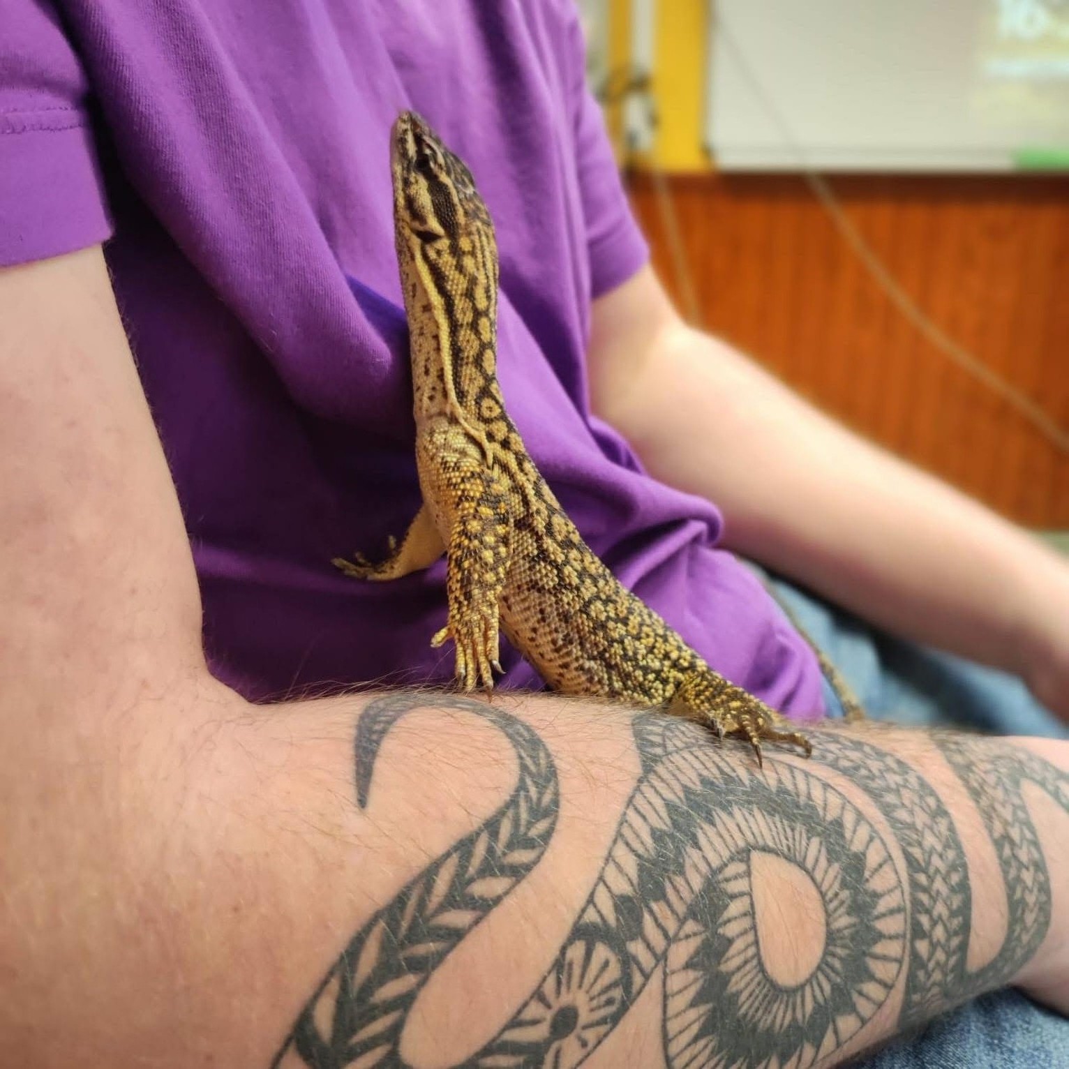 Service reptile 17 entre particuliers