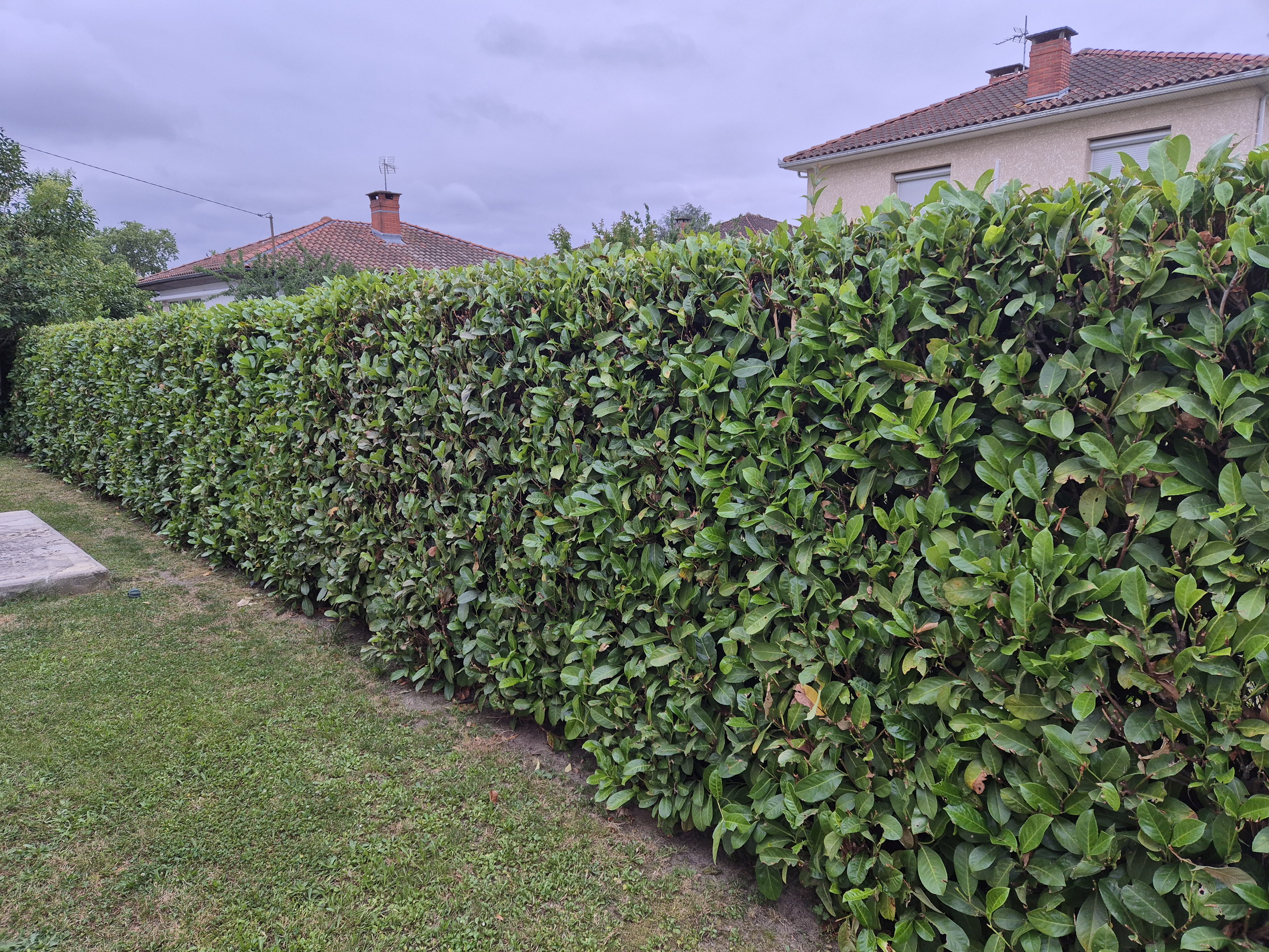 Service entretien jardin 31 entre particuliers