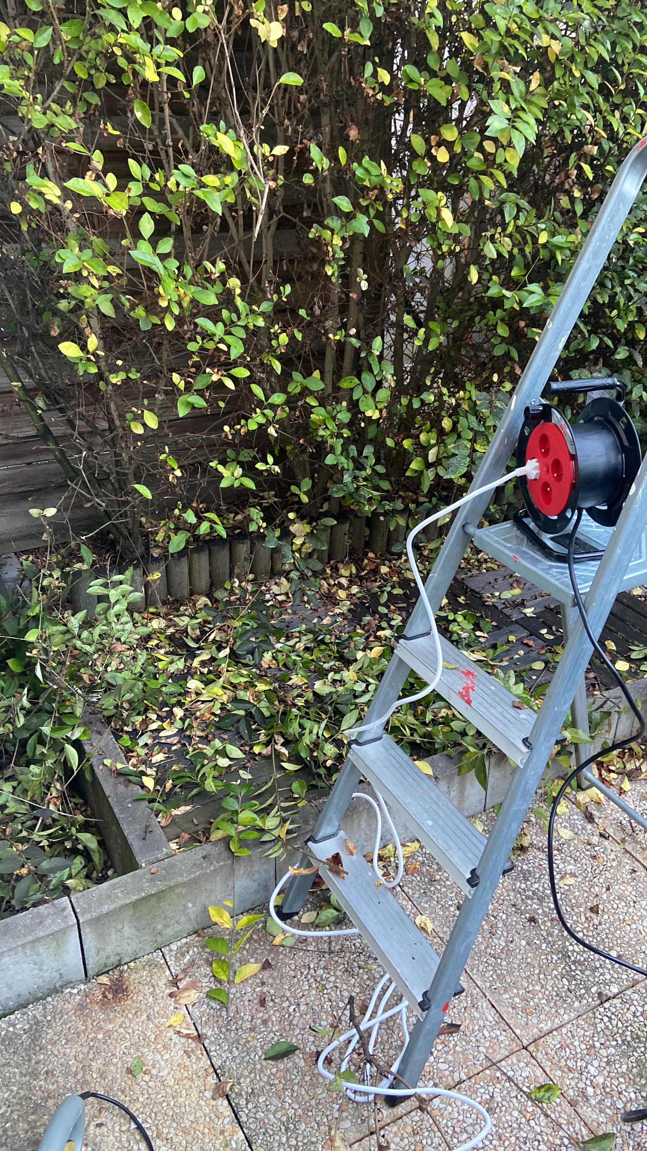 Service jardinage 75 entre particuliers